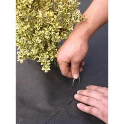 DeWitt Company 8 X 2 X 8 Inch 11 Gauge Galvanized Steel Anchor Pins, Great For Landscape Fabrics And Drip Irrigation Tubing, Bulk Package Of 1000 5 DeWitt Company 8 X 2 X 8 Inch 11 Gauge Galvanized Steel Anchor Pins, Great For Landscape Fabrics And Drip Irrigation Tubing, Bulk Package Of 1000 -Quality Garden Outdoor Store GUEST 01b46fdc 4e91 4b3f 8350 c6ab75d85539