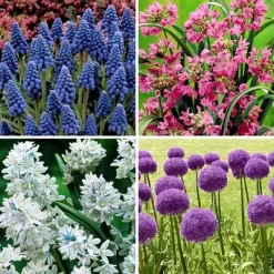40pk Butterfly Garden Nature Friendly Collection Assorted Bulbs - National Plant Network