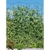 Gardeners Supply Company Tall Expandable Pea Trellis For Climbing Plants Outdoor | Sturdy Upright Garden Trellis For Vines, Tomatoes, Peas & Other Live Plants Support | 9'-3" L X 64" H Installed Steel - Red - Gardener's Supply Company