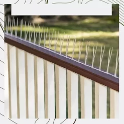 BIRD BLINDER 13" Plastic Bird Spikes - Polycarbonate Deterrent For Pigeons And Other Small Birds, White Set Of 15 5 BIRD BLINDER 13" Plastic Bird Spikes - Polycarbonate Deterrent For Pigeons And Other Small Birds, White Set Of 15 -Quality Garden Outdoor Store GUEST 1174f271 0458 4ff2 b9ab 03fc0574486e