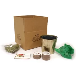 Amaryllis Kit Red Lion Bulb With Iron Brass Fluted Large Planter - Van Zyverden -Quality Garden Outdoor Store GUEST 1a829df3 fedd 4979 99c4 45172f65ff76