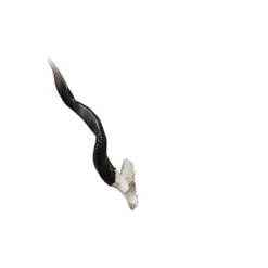 Design Toscano Kudu African Wall Trophy -Quality Garden Outdoor Store GUEST 2f711fc3 0c69 4b86 bf76 4e6d76499c6c