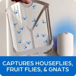 Zevo Indoor Flying Insect Trap Starter Kit For Fruit Flies, Gnats, And House Flies - 4ct -Quality Garden Outdoor Store GUEST 30928a34 7f47 420f bc44 425672a43d7f