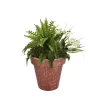 Evergreen Outdoor Fiberglass Planter With Solar Lights, Terracotta 16 X 15 X 16 Inches Garden And Yard Decor
