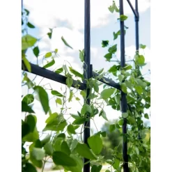 Gardener's Supply Company | Titan Half Arch | Decorative Garden Arch For Backyard, Patio, Courtyard | Durable Weatherproof Steel Support For Climbing -Quality Garden Outdoor Store GUEST 39a109ed b1f3 4352 b330 8c54f3689f81