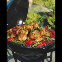 Weber Ranch Kettle Model 60020 -Quality Garden Outdoor Store GUEST 3ecb4e8d 8564 4583 bed6 eb2a78c18432