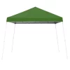 Z Shade 10x10 Foot Angled Leg Instant Shade Canopy Tent Portable Shelter, Green & Durable Plastic 5 Pound Canopy Tent Leg Weight Plates, Set Of 4