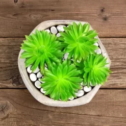 Solar Garden Stones - 500-Pack Glow In The Dark Pathway Pebble Lights - Decorative Glowing Rocks For Flowerbeds And Walkways By Pure Garden (Blue) -Quality Garden Outdoor Store GUEST 457e802c d9a7 44ca 9b2f d98f2f84edc0