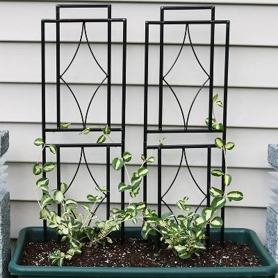 Sunnydaze Decor Sunnydaze Contemporary Metal Wire Garden Trellis For Climbing Plants And Flowers - 30" H - Black - 2-Pack 1 Sunnydaze Decor Sunnydaze Contemporary Metal Wire Garden Trellis For Climbing Plants And Flowers - 30" H - Black - 2-Pack
