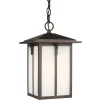 Sea Gull Lighting One Light Outdoor Pendant