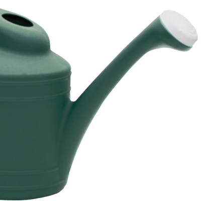 Southern Patio Large 2 Gallon Plastic Rainfall Garden Plant Watering Can, Green 1 Southern Patio Large 2 Gallon Plastic Rainfall Garden Plant Watering Can, Green