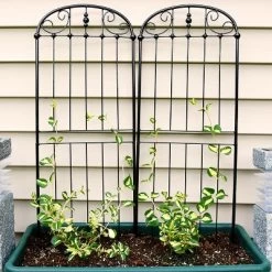 Sunnydaze Decor Sunnydaze Metal Wire Traditional Garden Trellis For Climbing Plants And Flowers - 32" H - Black - 2-Pack