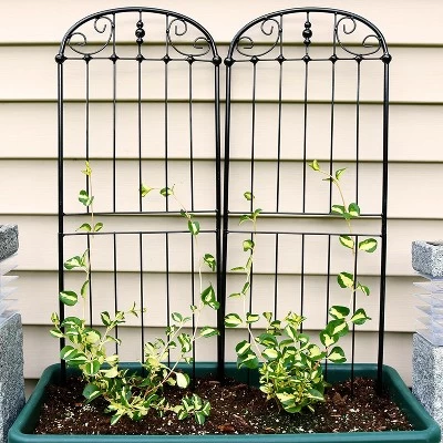 Sunnydaze Decor Sunnydaze Metal Wire Traditional Garden Trellis For Climbing Plants And Flowers - 32" H - Black - 2-Pack 1 Sunnydaze Decor Sunnydaze Metal Wire Traditional Garden Trellis For Climbing Plants And Flowers - 32" H - Black - 2-Pack