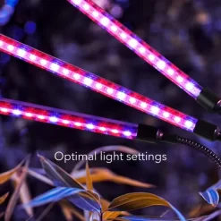 Dartwood LED Grow Lights For Indoor Plants With Red Blue Spectrum - Plant Grow Light With 9 Brightness Levels, Auto On Off Function -Quality Garden Outdoor Store GUEST 64e7f763 cf31 4488 8e7b 2876844a1da3