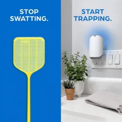 Zevo Indoor Flying Insect Trap Starter Kit For Fruit Flies, Gnats, And House Flies - 4ct -Quality Garden Outdoor Store GUEST 7834abf2 96a7 47a1 a34b 37477aab55c6