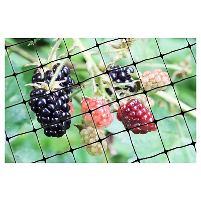 100'x14' Standard Bird Netting - Bird-X 2 100'x14' Standard Bird Netting - Bird-X - Image 2