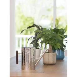 Gardener's Supply Company Stainless Steel Watering Can | Stylish And Modern Design With Easy Grip Wooden Handle & Long Spout To Prevent Spillage | -Quality Garden Outdoor Store GUEST 95dc78fb b7b8 4f43 9373 18aebd9a4bbc