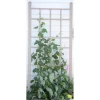 66" Cottage Vinyl Trellis - White - Dura-Trel