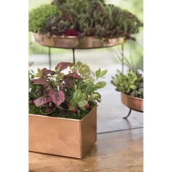 Gardener's Supply Company Tall Rectangular Copper Plant Tray | 18" X 5" X 4" For Plant Flower Succulent Display -Quality Garden Outdoor Store GUEST a32d9883 c243 463e b4ef 247254eb5dad