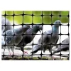 100'x14' Standard Bird Netting - Bird-X