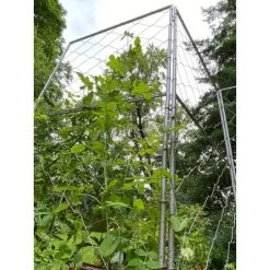 Gardener's Supply Company Chicken Wire Pea Trellis For Climbing Plants | Multi-Use Heavy Duty Outdoor Garden Peas, Tomato, Cucumber Plant Support | -Quality Garden Outdoor Store GUEST ab7477bf 9d33 45a3 9b47 25a12d6b9070