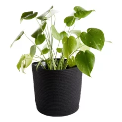 Juvale 2 Pack Decorative Woven Planter Basket With Plastic Liner For Outdoor, Indoor, Floor, Plants, Storage, Black, 10 X 11 In -Quality Garden Outdoor Store GUEST b23bbe5b 4a89 4cf1 a660 972703ad5a20