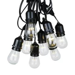 Novelty Lights Edison Outdoor String Lights With 15 Suspended Sockets Black Wire 48 Feet -Quality Garden Outdoor Store GUEST c4f2896e d5b2 4f03 8b56 7bda33dfc068