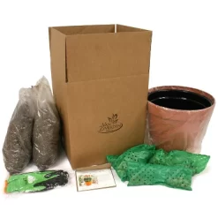 Van Zyverden 46ct Bulbs Multicolored Unison Spring Blooming Patio Planter Set -Quality Garden Outdoor Store GUEST d254073f 3f70 4727 bead b60bbbdbc96b