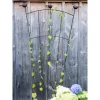 Gardener's Supply Company Flock Of Friends Wall Trellis | Outdoor Garden Trellis For Climbing Plants, Vegetables And Vining Flowers | Powder-Coated