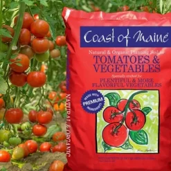 Coast Of Maine OMRI Listed Tomato And Vegetable Plant Potting Soil Compost Blend For Container Gardens And Flower Pots, 20 Quart Bag (2 Pack) 6 Coast Of Maine OMRI Listed Tomato And Vegetable Plant Potting Soil Compost Blend For Container Gardens And Flower Pots, 20 Quart Bag (2 Pack) -Quality Garden Outdoor Store GUEST e1fa2d00 e836 4023 b8e3 2158fdca5e66