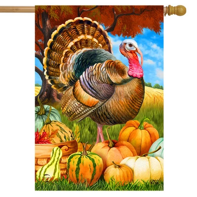Turkey And Pumpkins Fall House Flag Thanksgiving Farm Autumn 28" X 40" Briarwood Lane 1 Turkey And Pumpkins Fall House Flag Thanksgiving Farm Autumn 28" X 40" Briarwood Lane