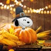 Peanuts Snoopy Thanksgiving Pumpkin Press-in 10 Inch Icon